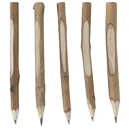 Picture of Eco Pencil Tree