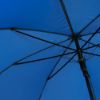 Picture of Wet Umbrella 