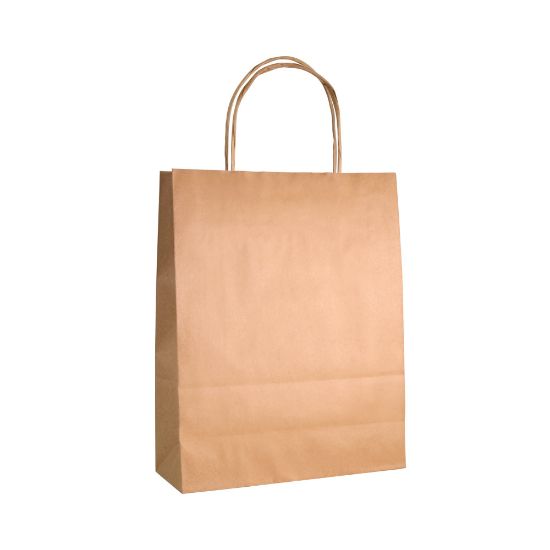 Picture of Twisted Handle Paper Bag
