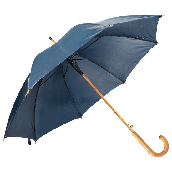 Picture of Cloudy Umbrella