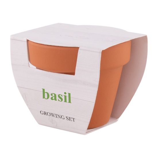 Picture of Basil Flowerpot