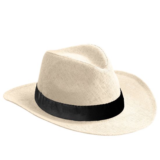 Picture of Habana Hat