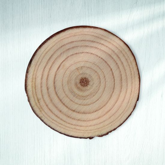 Picture of Arbre Magnet