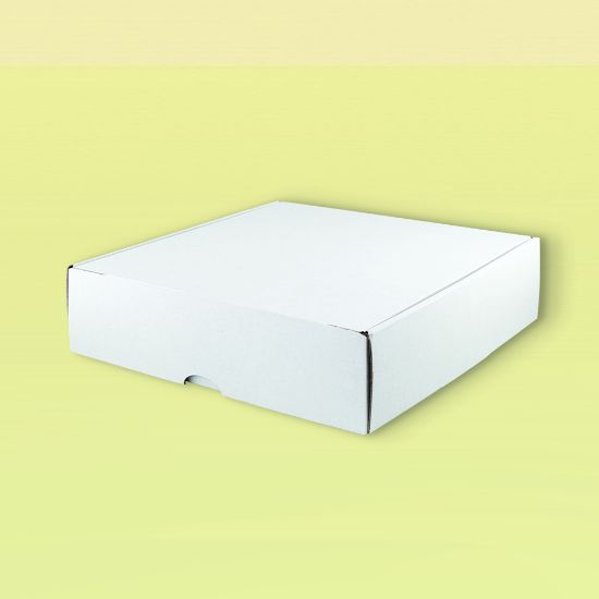 Picture of Big Midi White Box