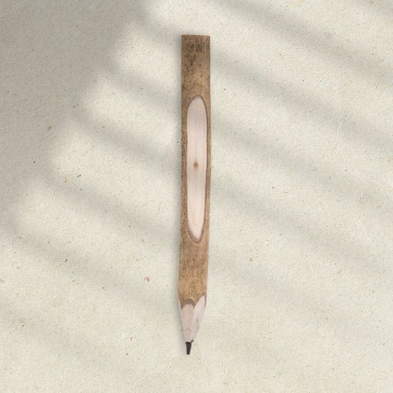 Picture of Eco Pencil Tree