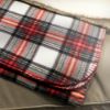 Picture of Checked Blanket