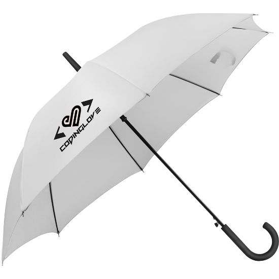 Picture of Wet Umbrella 