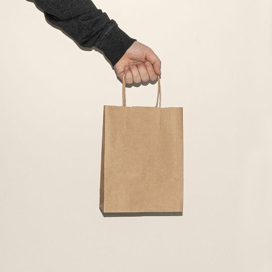 Twisted Handle Paper Bag 