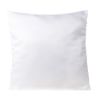 Picture of Cushion Pude